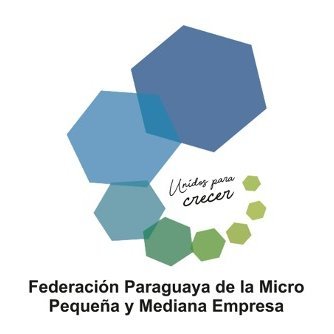 Federación Paraguaya de la Micro, Pequeña y Mediana Empresa. Trabajamos para potenciar a todos los emprendedores y empresarios del sector MIPYME del país.