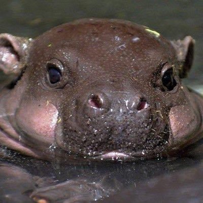 easymac0fficial's profile picture. 