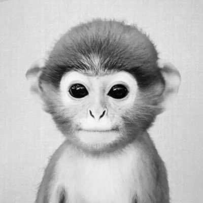 Bob79430521's profile picture. joined to help bliz and win a cape or sum