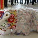 Janet Han - @myjanethan - Twitter