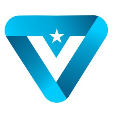 VirtualVetsCo Profile Picture