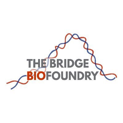 The Bridge Biofoundry