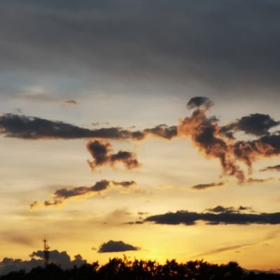 lw650621's profile picture. 