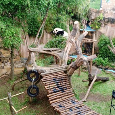 ebi087's profile picture. buanglah sambat pada tempatnya