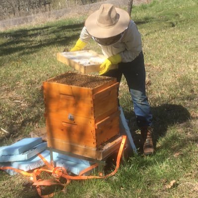 Dodgers Fan, beekeeper, definite resistor, Elie Mystal supporter, votes blue all the way.