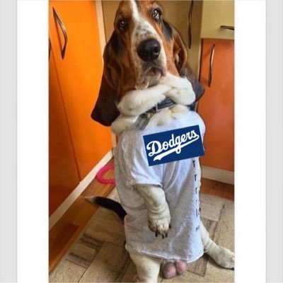 I love @Dodgers baseball and hot dogs woof woof #GoDodgers #GoJaguars