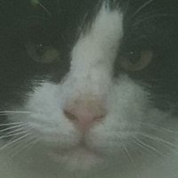 ホルオモンチャンネル (@zip9dspwbhexs2y) 's Twitter Profile