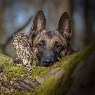 sergio94676962's profile picture. 