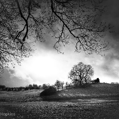 Compsi3's profile picture. 