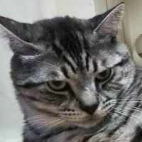 GIRU (@2rbkprdm3swdea8) 's Twitter Profile
