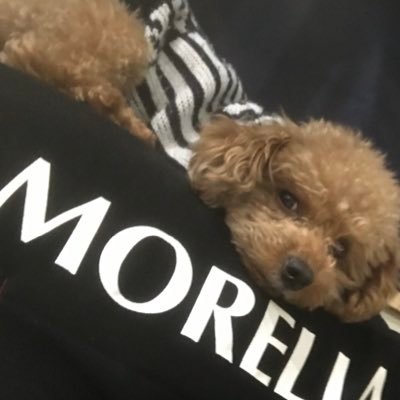 SHOGO___GOOD's profile picture. ザスパクサツ群馬、柏レイソルを応援してます！ サッカー観戦、練習も観に行きます！