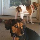 Travis Moore - @Texmoore - Twitter