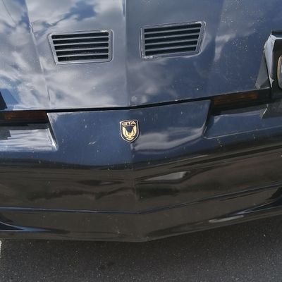 BrainscanB's profile picture. 