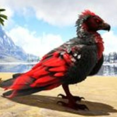 CalebSm80021535's profile picture. I play ark ps4