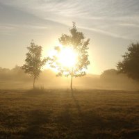 @ewen@mastodon.fedi.bzh (@e_corre) 's Twitter Profile Photo