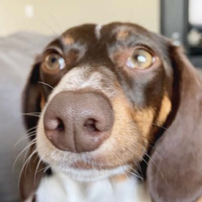 DublinPE's profile picture. 