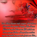 Sandra Riebe - @Mamafloh - Twitter