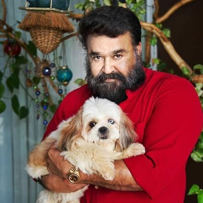 MariaRaju11's profile picture. 🦁LALETTAN FAN🦁
💉Bsc.Nursing 💉
😍friends uyir😍