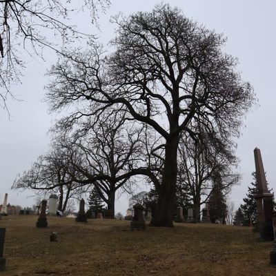 Cemeteries are sites full of history and stories. Daily photos of Canadian cemeteries, gravestones, grave symbols, and grave verse.