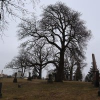 Canadian Cemetery History (@cacemeteryhist) 's Twitter Profile