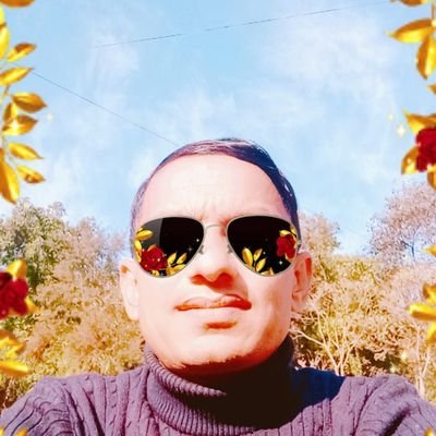 TolkantaB's profile picture. 