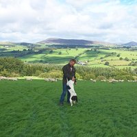 Dafydd Davies (@dafpenbryncoch) 's Twitter Profile