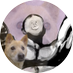 𓍯𓉔𓅱𓎡𓅱 (@onipurplez) Twitter profile photo 𓍯𓉔𓅱𓎡𓅱 (@onipurplez) Twitter profile photo