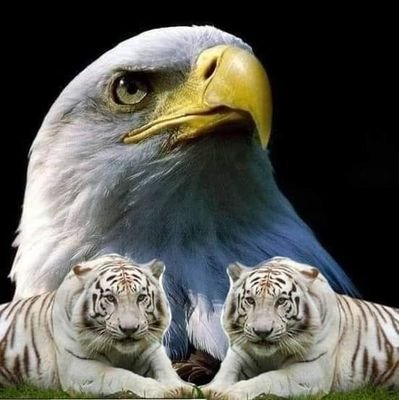 ﴿رَبِّ إِنّي ظَلَمتُ نَفسي فَاغفِر لي﴾