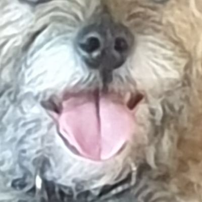 brother_potato's profile picture. .