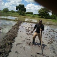 Mwamlima (@barakamwamlima1) 's Twitter Profile