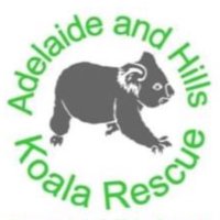 1300KOALAZ (@1300koalaz) 's Twitter Profile