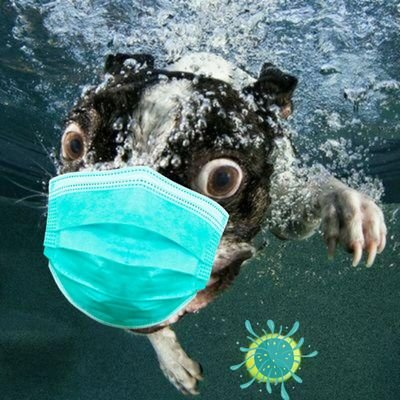 Dperogrullo's profile picture. liquid consumer     நுகர்வோர் திரவ