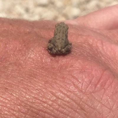 zleusch's profile picture. 