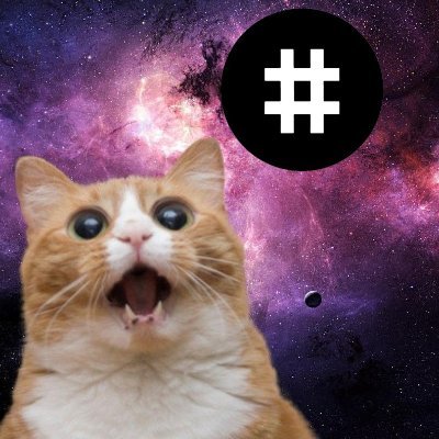 cryptopol1 Profile Picture