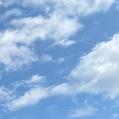 ei0126's profile picture. ウマ娘    D4DJイベラン8 クラロワ天界GT998