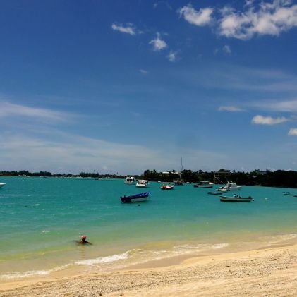 Altaf_Jiwa's profile picture. Humour, snark and a dash of inspiration