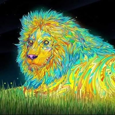 Damian_D0's profile picture. 