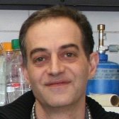 Emilio Casanova (@emiliocasanova9) 's Twitter Profile Photo Emilio Casanova (@emiliocasanova9) 's Twitter Profile Photo