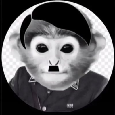 switchless12's profile picture. 