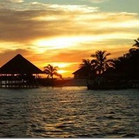 Rafael Ayala (@litoayala1) 's Twitter Profile