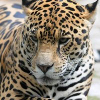 victor Rovira (@rovigar59) 's Twitter Profile Photo victor Rovira (@rovigar59) 's Twitter Profile Photo