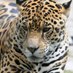 victor Rovira (@rovigar59) Twitter profile photo victor Rovira (@rovigar59) Twitter profile photo