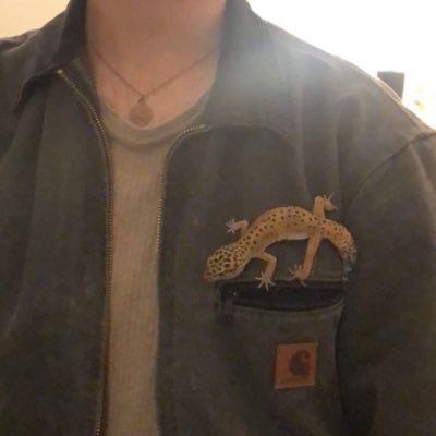 austenfucks's profile picture. you got me