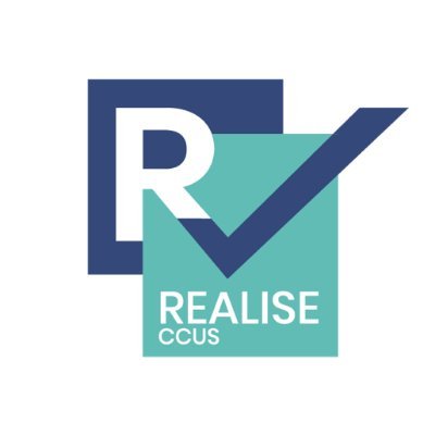 realiseccus Profile Picture