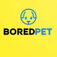 Boredpet(@boredpet) 's Twitter Profile Photo
