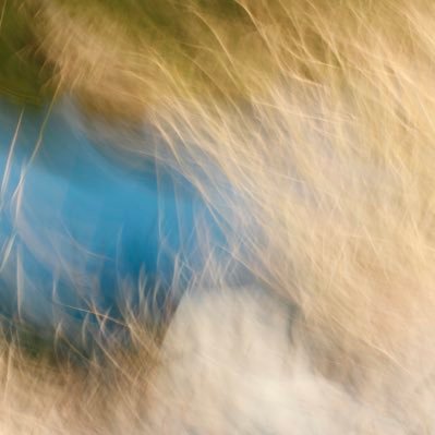 CelinePivoine's profile picture. Femme photographe professionnelle, captureuse d’images créatives, ICM, argentique, Polaroïd, émulsion de Polaroïd sur carrelage. Les nus sont sur @CelineEyes