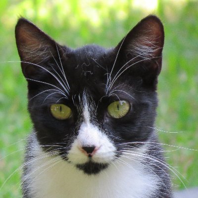 arfor's profile picture. 