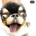 chanate (@thacucuy) Twitter profile photo chanate (@thacucuy) Twitter profile photo