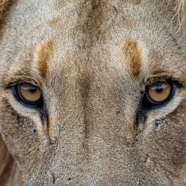 Stalliano6's profile picture. 