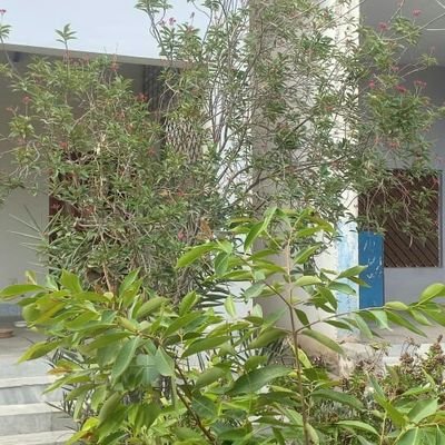 EDUCATION DEPARTMENT